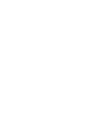 spaghettiincidentnyc.com